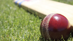 Region’s Twenty20 best on show