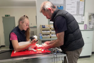 Rural vets miss out again