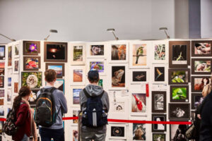 Journey to get that perfect picture