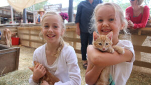 Tourism operator reports good numbers