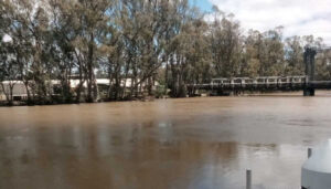 Barham gets minor flood warning