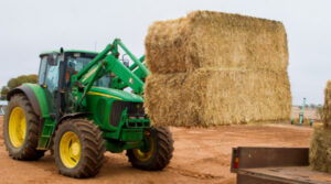 Making hay when the sun shines – too much