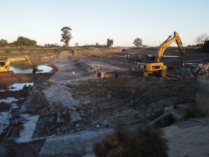 Something fishy at the weir