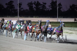 Herbie’s go bananas with treble