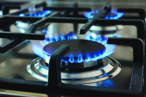 Webster blasts ban on gas connections for new homes