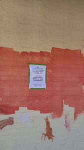 Bethany McKay brightens Bendigo Bank