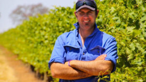 New chairman for winegrowers
