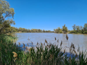 More Murray environmental flows on the way, says government