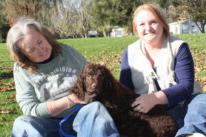 Digging deep for poor pup