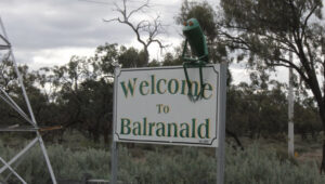 Balranald Shire Council election results