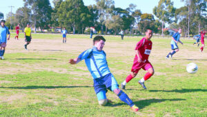 Tackling Colts in the Cup