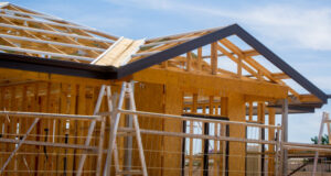 Council backs housing support plan