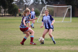 Swans still undefeated