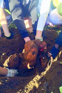 ‘Big Bob’ proves a talking point