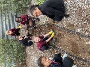 Learning is an adventure