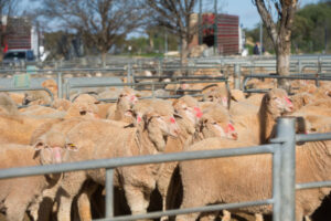 Get help crunching the numbers