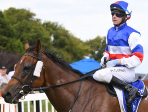 All eyes on an All-Star field