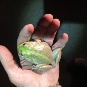 Water prices hit rice