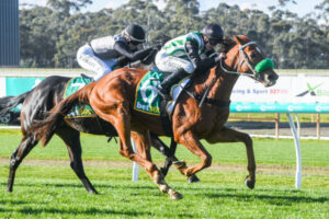 Kellys make successful Bendigo raid with Spanish Snitzel