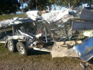 Support flows in for injured dogs