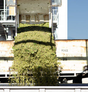 Winecrush still below 10-year average