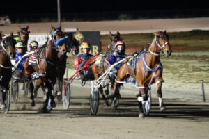 Trainers are hot to trot at Swan Hill