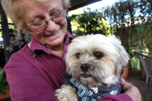 Prep your pooches for Million Paws Walk