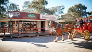 Pioneering on as locals support their tourist attraction