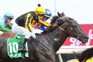 Swan Hill hoop Coffey in multi-million dollar dilemma