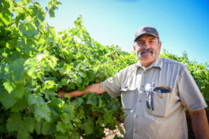 LMW to scrap public elections