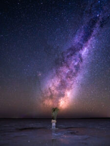 Natural beauty provides inspiration