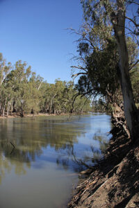 Edward River drowning
