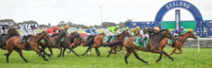 Lloyd’s turf tumble