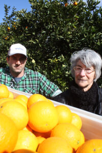 Little to  celebrate