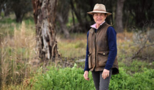 NSW water register by October