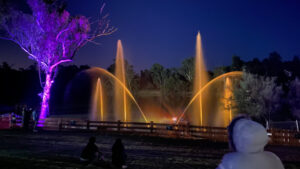 Lighting up the night