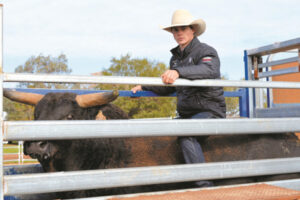 Riley’s bull riding love