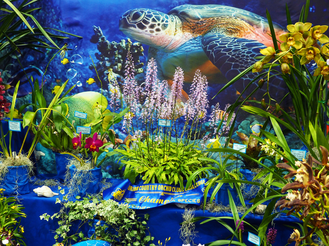 Fun-filled activities for the whole family