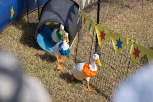 Tradition at the heart of show