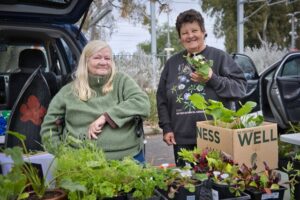 Market lane a fresh flavour