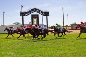 Cox Plate in the bush