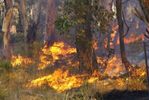 Fire season looms in Buloke