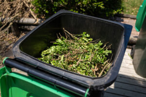 Free green waste disposal