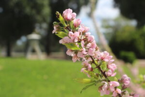 Fire danger highlighted