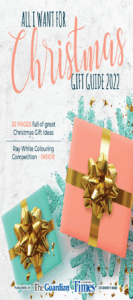 Christmas Gift Guide 2022