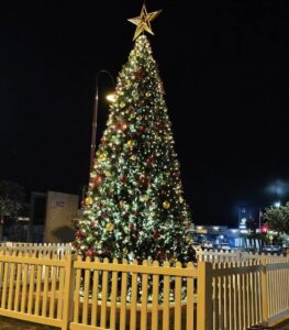 A Murray Little Christmas