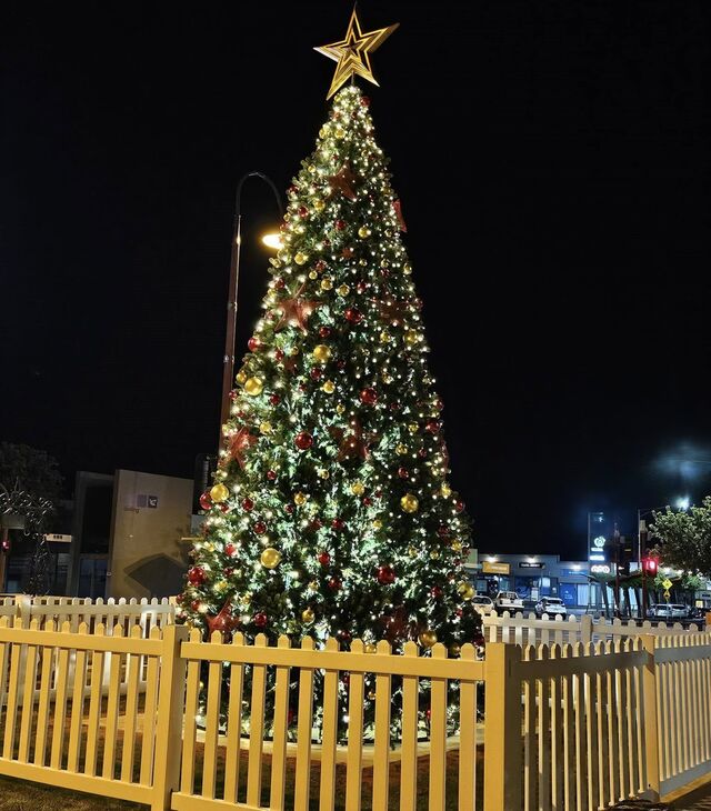 A Murray Little Christmas