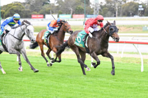 Coffey’s Cup hopes