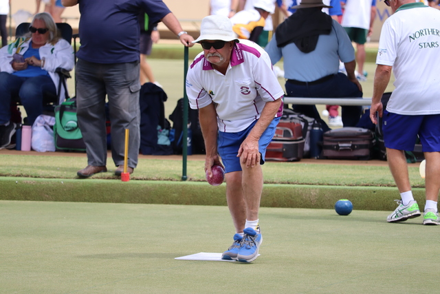 Rams shine under night sky