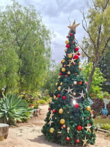 Spreading festive cheer